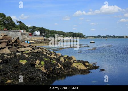 Vue le long de la côte depuis la chaussée entre Ile de Berder et rue de Berder, Larmor Baden, vannes, Morbihan, Bretagne, France Banque D'Images