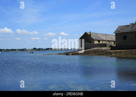 Vue le long de la côte depuis la chaussée entre Ile de Berder et rue de Berder, Larmor Baden, vannes, Morbihan, Bretagne, France Banque D'Images