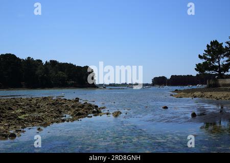 Vue le long de la côte depuis la chaussée entre Ile de Berder et rue de Berder, Larmor Baden, vannes, Morbihan, Bretagne, France Banque D'Images