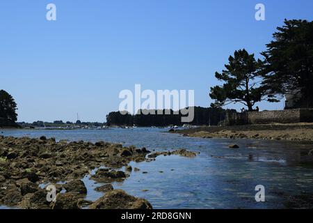 Vue le long de la côte depuis la chaussée entre Ile de Berder et rue de Berder, Larmor Baden, vannes, Morbihan, Bretagne, France Banque D'Images