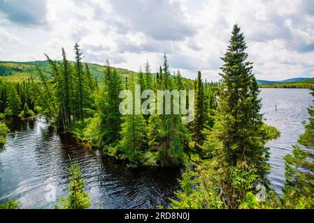 St-urbain, Canada - juillet 17 2023 : vue panoramique arial dans le parc national des Grands Jardins au Québec Banque D'Images