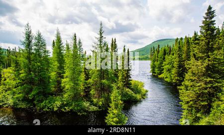 St-urbain, Canada - juillet 17 2023 : vue panoramique arial dans le parc national des Grands Jardins au Québec Banque D'Images