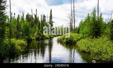 St-urbain, Canada - juillet 17 2023 : vue panoramique arial dans le parc national des Grands Jardins au Québec Banque D'Images