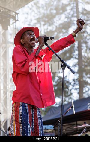 Grass Valley, États-Unis. 15 juillet 2023. California WorldFest a lieu dans le nord de la Californie pendant la canicule de l'ouest des États-Unis. Jupiter & Okwess interprète leur mélange de rythme congolais, de funk et de rock. 15 juillet 2023 (photo de Penny Collins/NurPhoto) crédit : NurPhoto SRL/Alamy Live News Banque D'Images