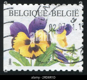 BELGIQUE - CIRCA 2000 : timbre imprimé par la Belgique, montre des violettes de fleurs, circa 2000 Banque D'Images