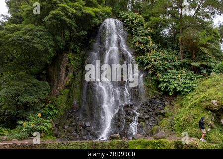 Nordeste, Açores - 07.09.2019 : chute d'eau dans le jardin botanique de Ribeira do Guilherme à Nordeste, île Sao Miguel aux Açores. Banque D'Images