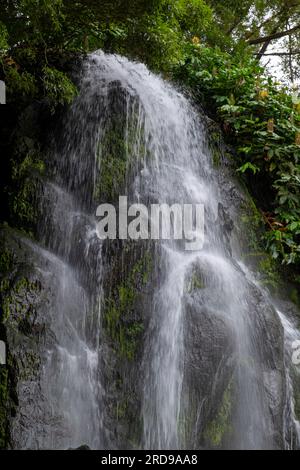 Cascade dans le jardin botanique de Ribeira do Guilherme dans le Nordeste avec des touristes, île Sao Miguel aux Açores. Banque D'Images