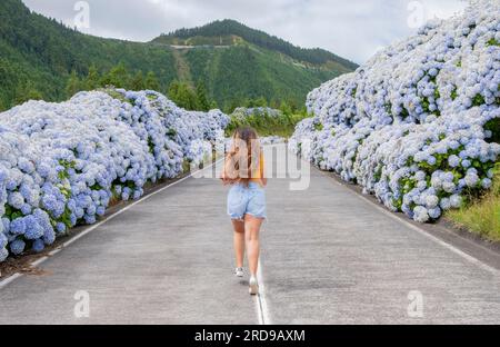 Açores, Jeune femme sautant heureux au milieu de la route avec hortensia bleu au bord de la route à Lagoa Sete Cidades ' Seven Cities Lake ', Sao Miguel Banque D'Images