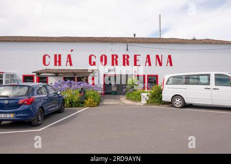 Gorreana, Açores - 09.07.2019 : Construction de la plantation de thé de l'usine de thé de Gorreana, 'Chá Gorreana'. La seule plantation de thé en Europe. Banque D'Images