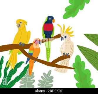 Différents types d'oiseaux exotiques. Illustration de conception graphique de dessin animé plat de vecteur. Illustration vectorielle Illustration de Vecteur
