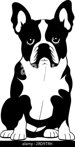 Bulldog français isolé sur fond blanc. Illustration vectorielle plate Illustration de Vecteur