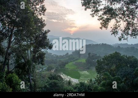 Lever du soleil sur les rizières et les collines à Ella, province d'Uva, Sri Lanka Banque D'Images