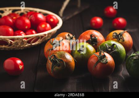 Tomates fraîches colorées mûres de variété d'automne ou d'été dans un panier sur fond en bois foncé. Concept automne et récolte. Nature morte, gros plan Banque D'Images