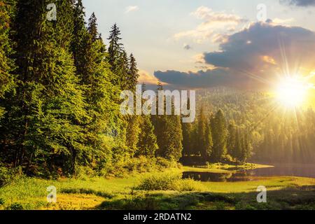 Lac dans les montagnes entouré d'une forêt de pins tôt le matin au coucher du soleil. beau paysage de campagne dans la lumière du soir Banque D'Images
