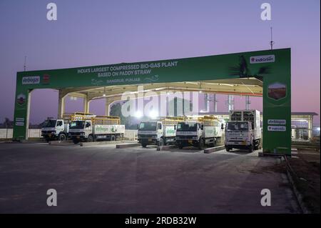 INDE, Punjab, Lehragaga, usine de biogaz Verbio traite la paille de paddy au CNG biogaz et compost, autrefois la paille de riz était brûlée sur les champs par l'agriculteur, après méthanation, le gaz CNG est rempli dans des bouteilles pour le transport aux stations de remplissage de gaz / INDIEN, VERBIO Biogasanlage gewinnt aus der fermentation von Reis Stroh hochwertiges CNG Biogas und Kompost, das Biogas wird in der Methanisierung zu Methangas aufbereitet, komprimiert und in Gasflaschen zur Lieferung an Gastankstellen gefüllt Banque D'Images