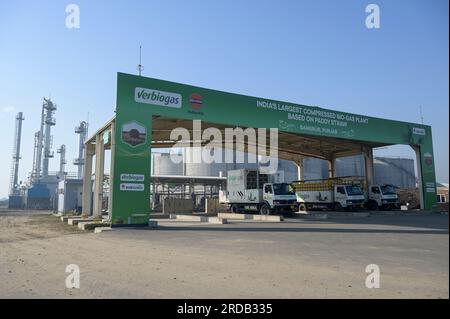 INDE, Punjab, Lehragaga, usine de biogaz Verbio traite la paille de paddy au CNG biogaz et compost, autrefois la paille de riz était brûlée sur les champs par l'agriculteur, après méthanation, le gaz CNG est rempli dans des bouteilles pour le transport aux stations de remplissage de gaz / INDIEN, VERBIO Biogasanlage gewinnt aus der fermentation von Reis Stroh hochwertiges CNG Biogas und Kompost, das Biogas wird in der Methanisierung zu Methangas aufbereitet, komprimiert und in Gasflaschen zur Lieferung an Gastankstellen gefüllt Banque D'Images