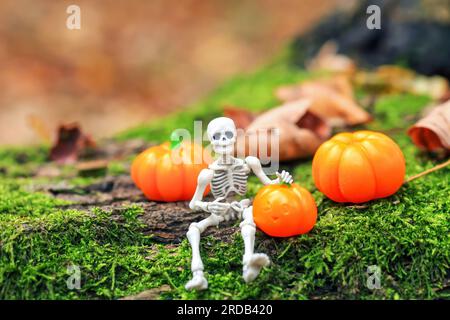 Figurine squelette assis sur la mousse verte et les citrouilles oranges dans les bois. Mignon Halloween figures drôles décoratives sur l'arbre tombé dans la forêt d'automne Banque D'Images