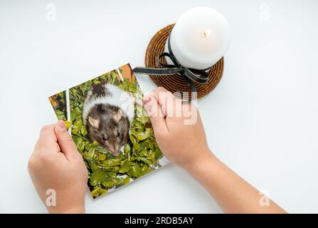 Mains d'enfant tenant la photo d'un rat de compagnie décédé. Concept d'enfant en deuil animal domestique. Bougie blanche avec ruban noir. Banque D'Images