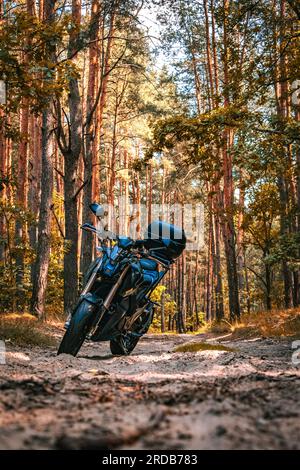 Moto dans la forêt sur le chemin de terre Banque D'Images