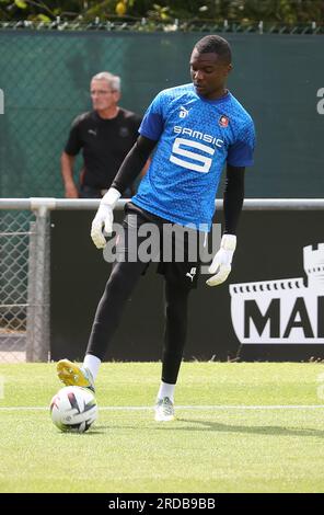 Yann Batola Du Stade Rennais Lors Du Football Amical 2023 Entre Stade ...