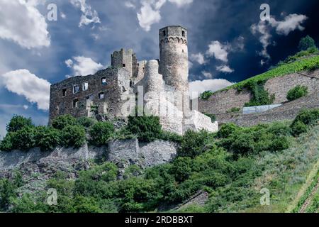 Château d'Ehrenfels depuis le Rhin en Allemagne Banque D'Images