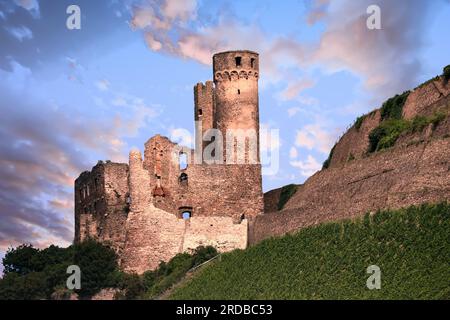 Château d'Ehrenfels depuis le Rhin en Allemagne Banque D'Images