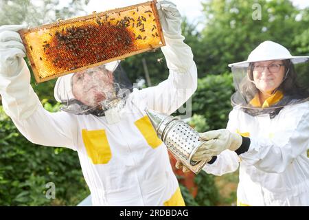 Apicultrice principale détenant un fumeur par un apiculteur mâle examinant le cadre en nid d'abeille dans le jardin de rucher Banque D'Images