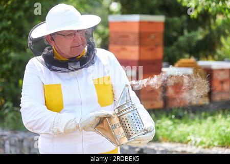 Apiariste mâle senior tenant un fumoir dans le jardin de rucher en été Banque D'Images