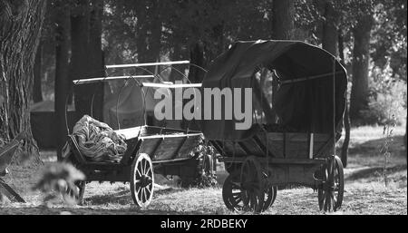 Russie soviétique de la Seconde Guerre mondiale des chariots de paysans dans la forêt. Équipement de la Seconde Guerre mondiale Banque D'Images