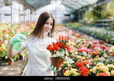 Jeune fleuriste vaporisant de l'eau sur des plantes de maison dans des pots de fleurs par pulvérisateur. Banque D'Images