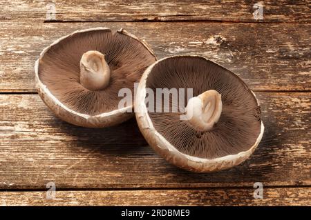 Photo studio de grand champignon portobello sur un fond en bois sombre - John Gollop Banque D'Images