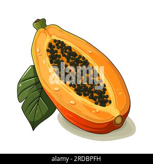 Icône de papaye. Image de papaye isolée. Papaye en tranches dans un design plat. Illustration vectorielle Illustration de Vecteur