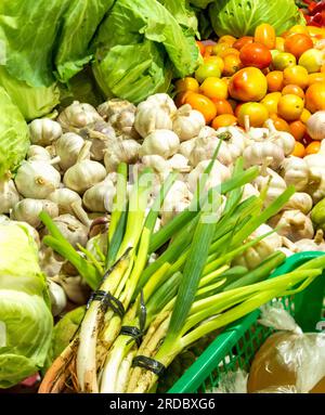 Légumes philippins colorés produits localement, y compris oignons biologiques fraîchement cueillis, ail, gingembre, carottes, chilles vertes, et laitues, soigneusement arrangés Banque D'Images