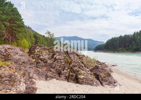 Rivière Katun, photo de paysage avec des rochers côtiers sur une journée nuageuse d'été. République de l'Altaï, Russie Banque D'Images