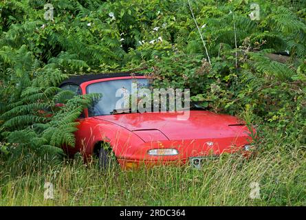 Voiture de sport rouge – Mazda MX-5 Miata – Retour à la nature, Angleterre Royaume-Uni Banque D'Images