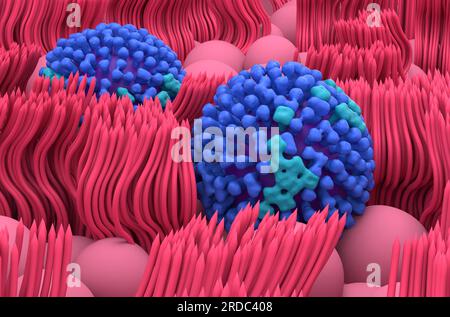 Virus de la grippe (grippe) sur les lignes de muqueuse nasale - vue en gros plan 3d illustration Banque D'Images