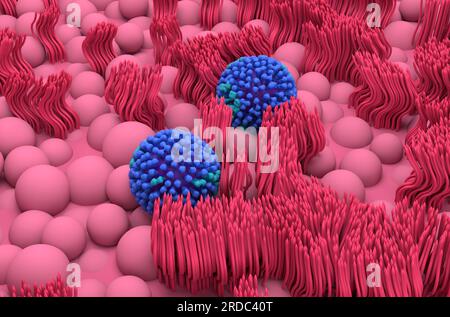 Virus grippal (grippe) sur les lignes de muqueuse nasale - vue isométrique 3d illustration Banque D'Images