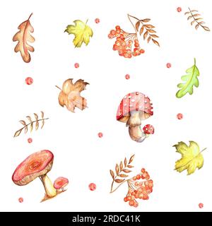 ensemble d'éléments aquarelle. Feuilles d'automne de frêne de montagne, érable, chêne. champignons vifs. Renards amusants et mignons. convient pour l'impression de cartes de vœux, inv Banque D'Images