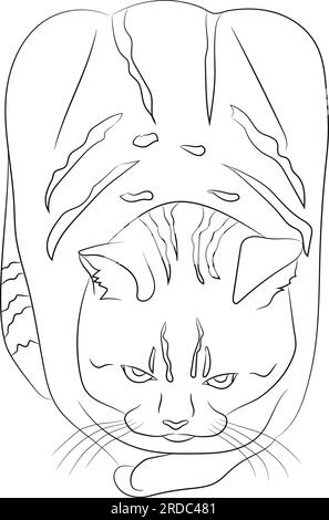 Chat tabby dessiné à la main dans une pose de pain isolé sur un fond blanc. Mignon chat ressemble à une miche de pain. Ligne de contour noire vide isolée sur blanc Illustration de Vecteur