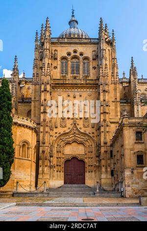 Nouvelle cathédrale construite au cours du 16e siècle dans le style renaissance, aussi appelé style plateresque. Salamanca, Espagne. Banque D'Images