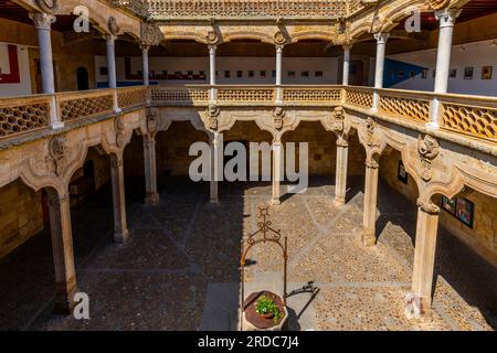 Cloître de Casa de las Conchas de l'Iglesia de la Clerecia. Calle de la Compañía, Salamanca, Castilla y Leon, Espagne. Banque D'Images