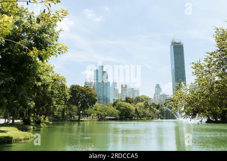 Lac forestier vert du parc Lumpini et bâtiments à Bangkok, Thaïlande Banque D'Images