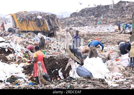 Nairobi, Kenya. 14 juillet 2023. On voit des gens ramasser des matières recyclables à la décharge de Dandora. Le gouvernement du comté de Nairobi prévoit de mettre en place une usine de recyclage qui transformera en énergie les déchets déposés sur la décharge de Dandora. Le vaste site de décharge reçoit environ 2 000 tonnes de déchets par jour, ce qui en fait le site de travail le plus fréquenté pour les récupérateurs de déchets à trouver du plastique et d'autres matières recyclables. (Photo Allan Muturi/SOPA Images/Sipa USA) crédit : SIPA USA/Alamy Live News Banque D'Images