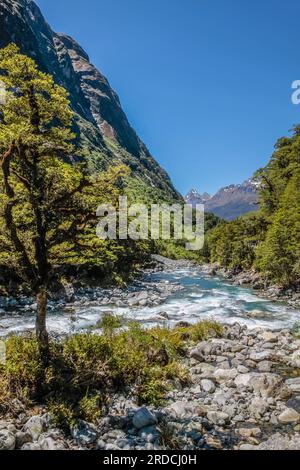 Géographie / voyages, Nouvelle-Zélande, Southland, Falls Creek at the Milford Road, Southland, INFORMATIONS-AUTORISATION-DROITS-SUPPLÉMENTAIRES-NON-DISPONIBLES Banque D'Images