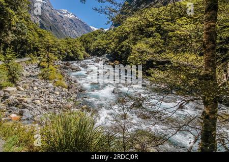 Géographie / voyages, Nouvelle-Zélande, Southland, Falls Creek at the Milford Road, Southland, INFORMATIONS-AUTORISATION-DROITS-SUPPLÉMENTAIRES-NON-DISPONIBLES Banque D'Images