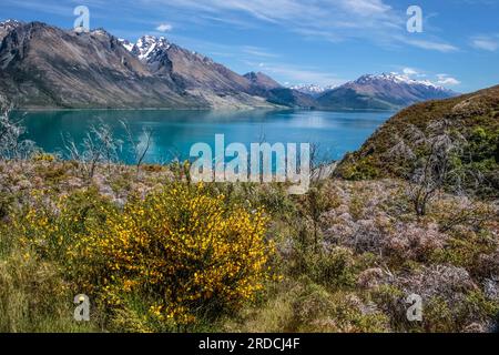 Géographie / voyage, Nouvelle-Zélande, Otega, Lac Wakatipu entre Queenstown et Glenorchy, Otega, INFORMATIONS-AUTORISATION-DROITS-SUPPLÉMENTAIRES-NON-AVAILABLE Banque D'Images