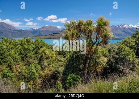 Géographie / voyage, Nouvelle-Zélande, Otega, Lac Wakatipu entre Queenstown et Glenorchy, Otega, INFORMATIONS-AUTORISATION-DROITS-SUPPLÉMENTAIRES-NON-AVAILABLE Banque D'Images