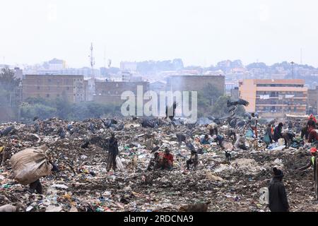 Nairobi, Kenya. 14 juillet 2023. On voit des gens travailler à la décharge de Dandora. Le gouvernement du comté de Nairobi prévoit de mettre en place une usine de recyclage qui transformera en énergie les déchets déposés sur la décharge de Dandora. Le vaste site de décharge reçoit environ 2 000 tonnes de déchets par jour, ce qui en fait le site de travail le plus fréquenté pour les récupérateurs de déchets à trouver du plastique et d'autres matières recyclables. (Photo Allan Muturi/SOPA Images/Sipa USA) crédit : SIPA USA/Alamy Live News Banque D'Images