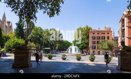 Plaza de la Reina dans le centre historique de Palma de Majorque sur l'île espagnole. Banque D'Images