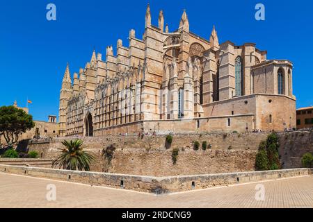 Cathédrale de Santa Maria de Palma dans le centre historique de Palma de Majorque en Espagne. Banque D'Images